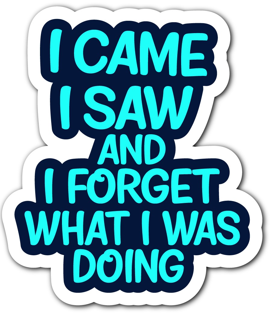 I CAME I SAW AND FORGOT WHAT I WAS DOING - STICKER